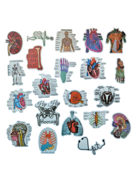 Beautiful Human Anatomy Journaling Stickers