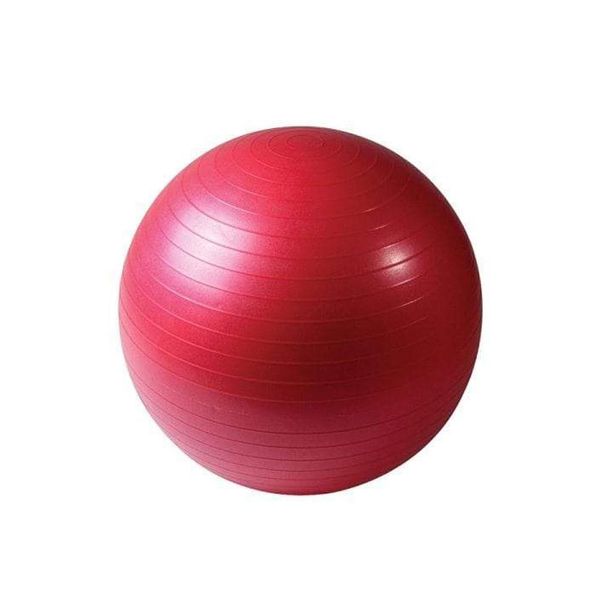 Anti-Burst Exercise Ball 65cm Charcoal
