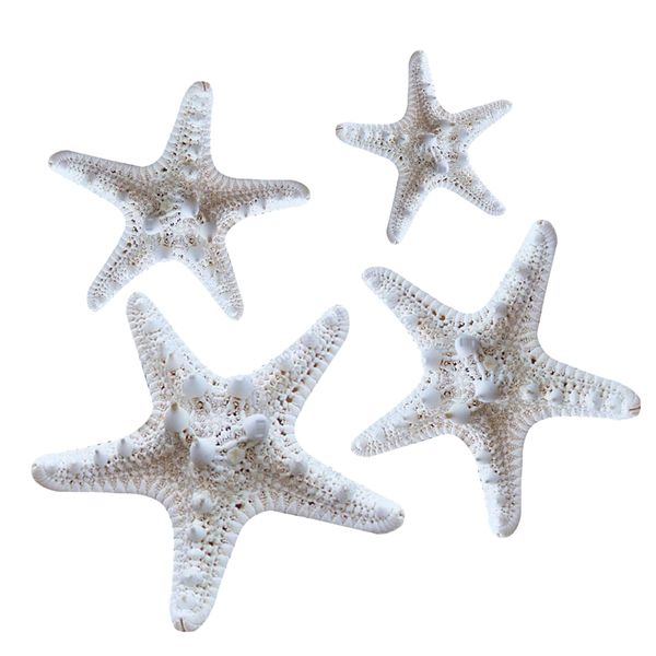 Home Decoration Party White Knobby Starfish Tabletop Ornaments - 4 Pieces