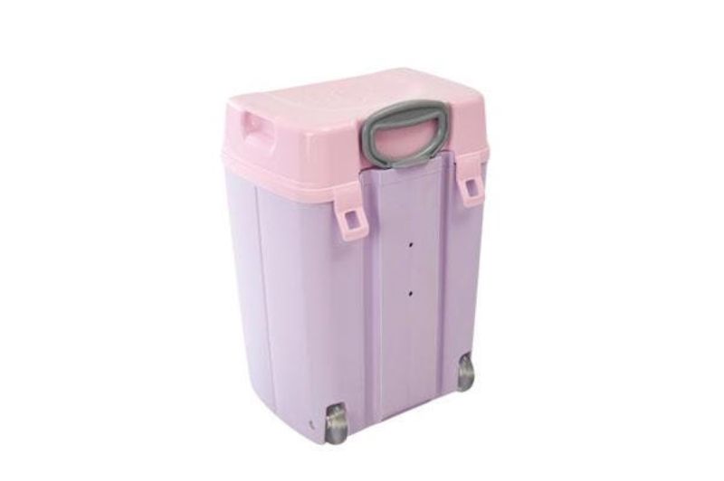 Pink Lid With Purple Body image