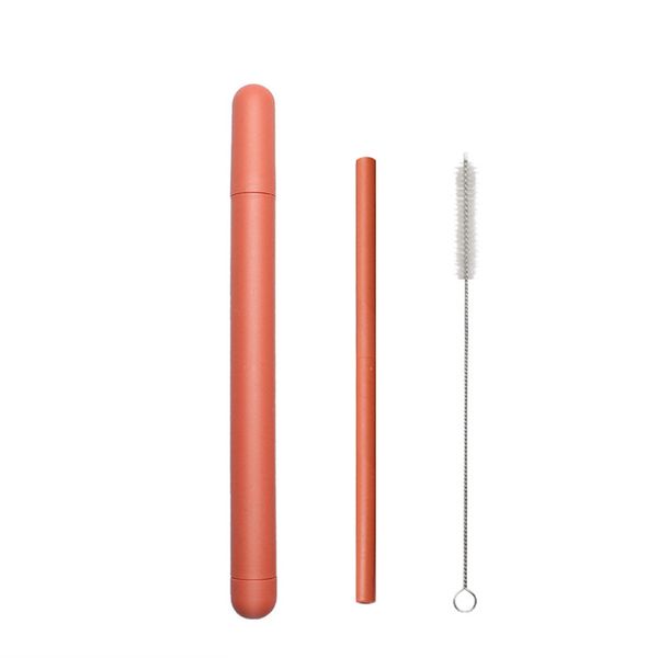 Reusable coffee and juice straws-Orange