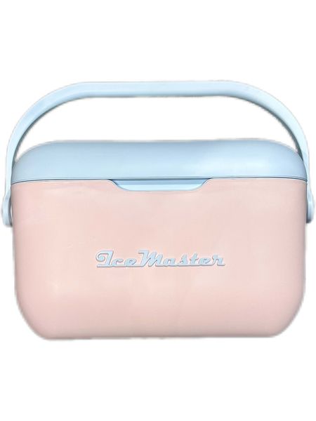 Ice Master Stylish Cooler Box 20L