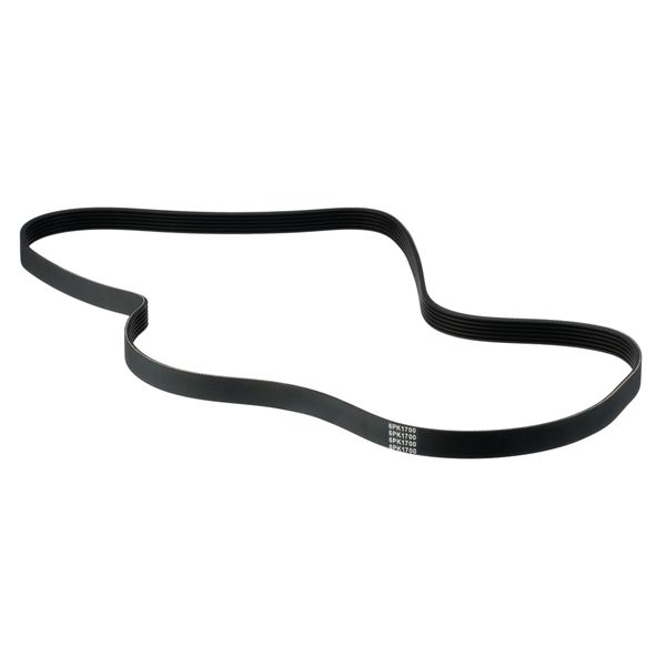 Dunlop Micro V Belt Replacement Compatible Ford Rocam 1.6 PS OEM Quality