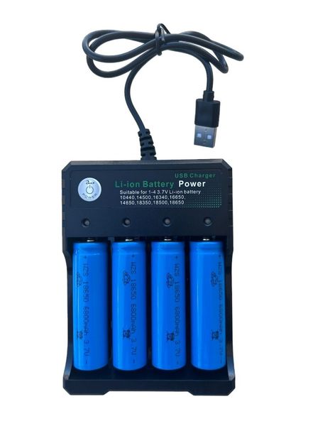 Gadget Boost Li- ion Battery Charger With Batteries