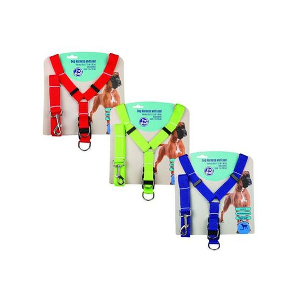 Pet Dog Harnesses And Leads 2.5X40-60CM (3-Pack)