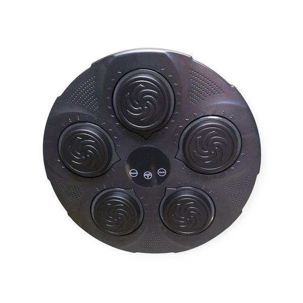 Rechargeable Intelligent Bluetooth Music Boxing Machine W/ LED Display