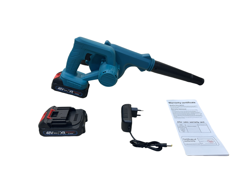 Multi Functional Cordless Hair Dryer with 2 Lithium Batteries 48V