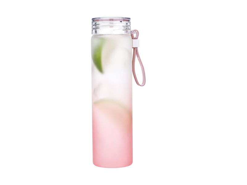 Glass Drinking Bottle 460ml - Set of 2