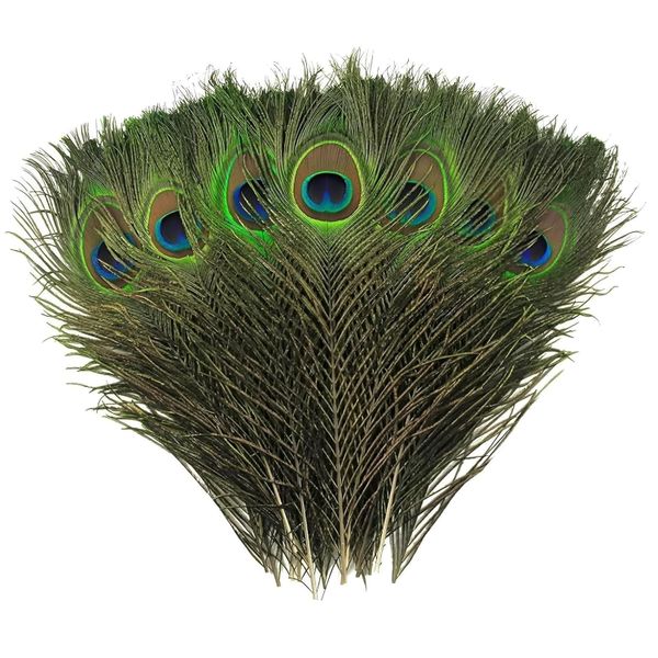 Arts &amp; Crafts Peacock Feathers - 28cm (10 Piece)