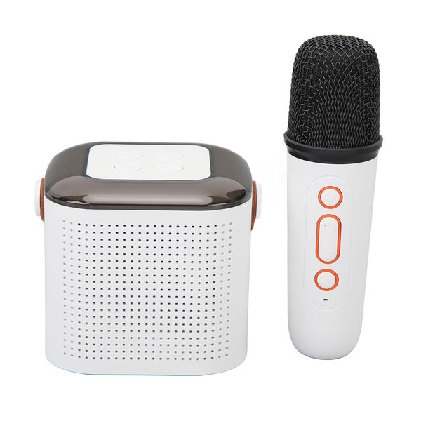 BT Karaoke Machine, HiFi Sound, Mic