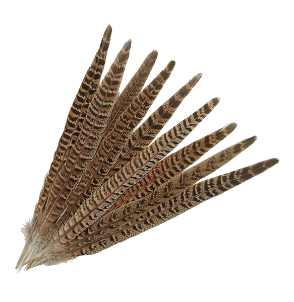 Craft Decor 8pc Natural Pheasant Feathers - 20cm