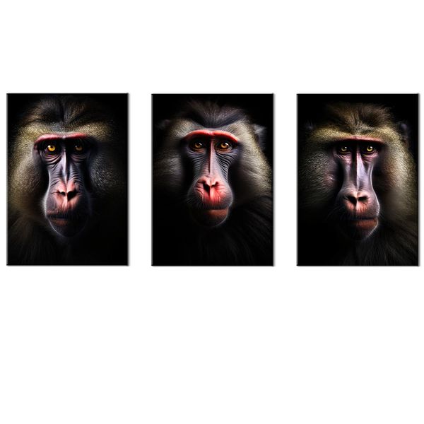 Canvas-Art-3 Pieces Black &amp; Grey Monkey Animals Wall Art