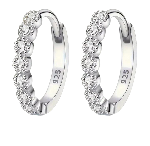 925 Sterling Silver Elegant Zirconia Stud Earrings