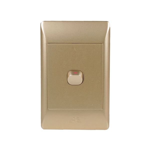 ACDC - 1-Lever 2-Way Switch 2x4 C/W Champagne Cover Plate