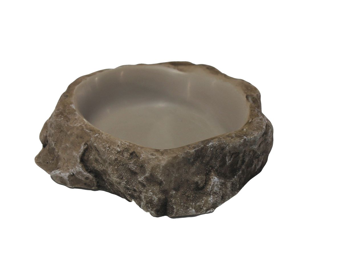 Reptile Water Dish - Small | Shop Today. Get it Tomorrow! | takealot.com