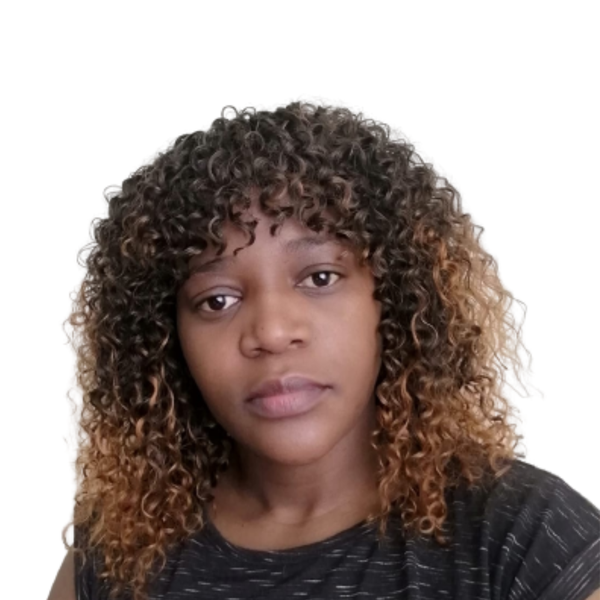 Curly Fringe Rainbow Synthetic Hair Wig, Color T1B/30.