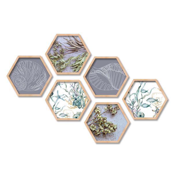 CapeArt Pine Hexagonal Wall Art Canvas 6pce collage The Coast