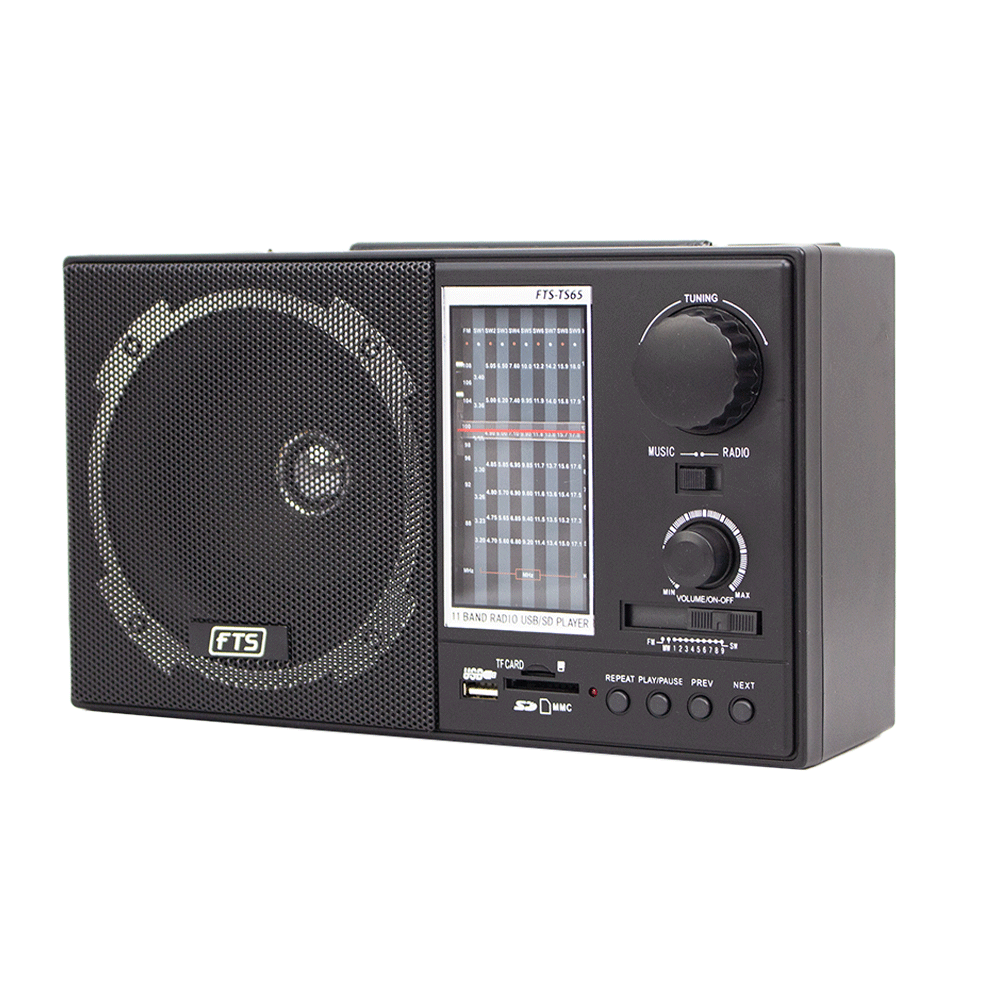 Gogo FTS-TS65 Radio