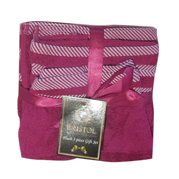 Bristol 100% Cotton Plush Towel Set - 3-Piece