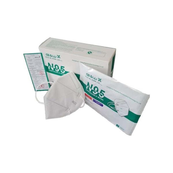 G&amp;W Face Mask - N95 Mask - Pack of 10