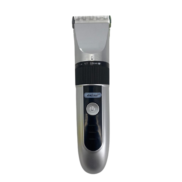 T137 image