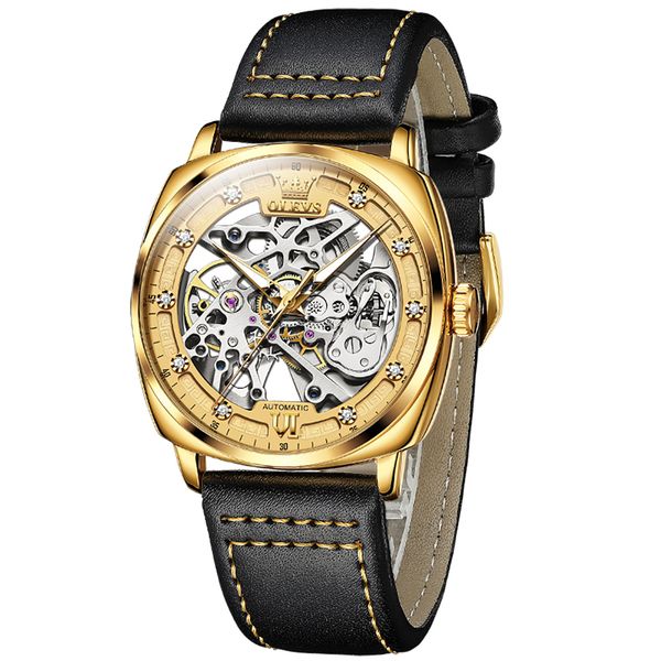 Fully Automatic Mechanical Luminous Leather Strap Watch for Men