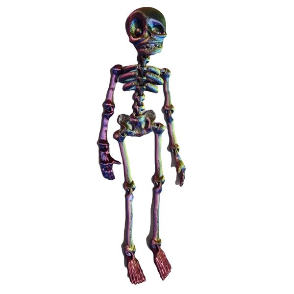 Toy Poseable 3D Printed Skeleton Fridge Magnets Display - 12cm