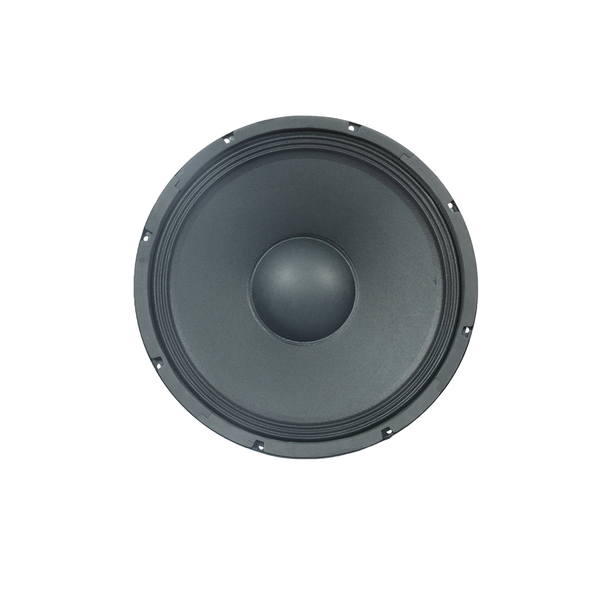 FTS-10F200 10" Replacement Loose Speaker 200W