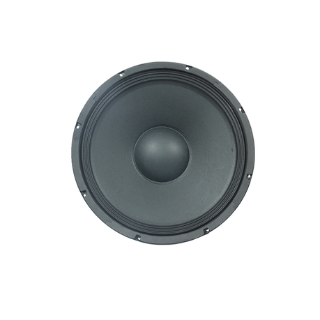 FTS-10F200 10" Replacement Loose Speaker 200W Image