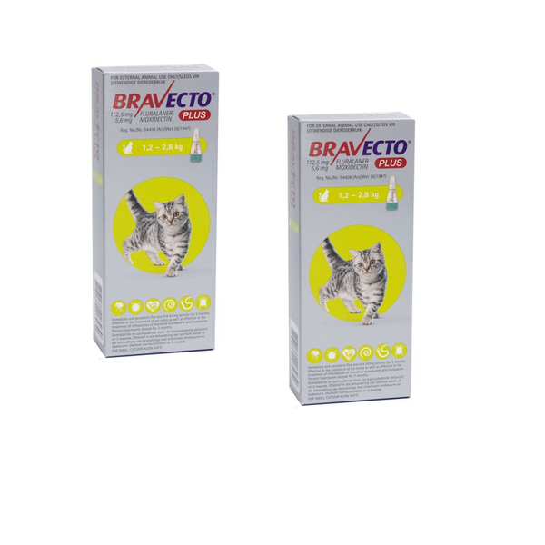 Bravecto Plus for Small Cats 1.2 - 2.8KG - 2 Pack