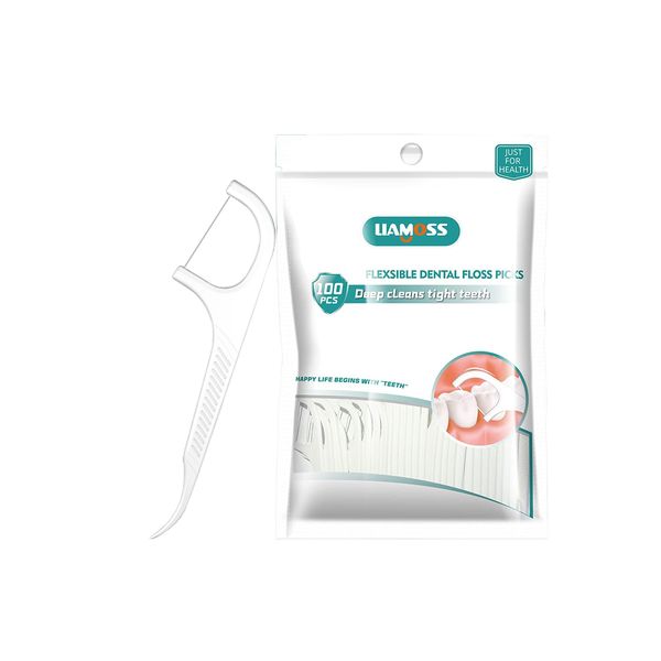Dental Floss Picks 100 Pieces