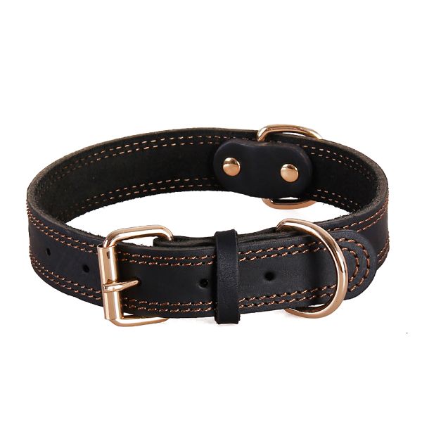 Vintage Brass Buckle Leather Pet Collar - Black L