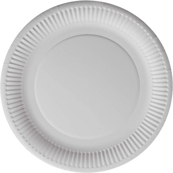 Maisonware Paper Plates 23cm - Pack of 100 Plates