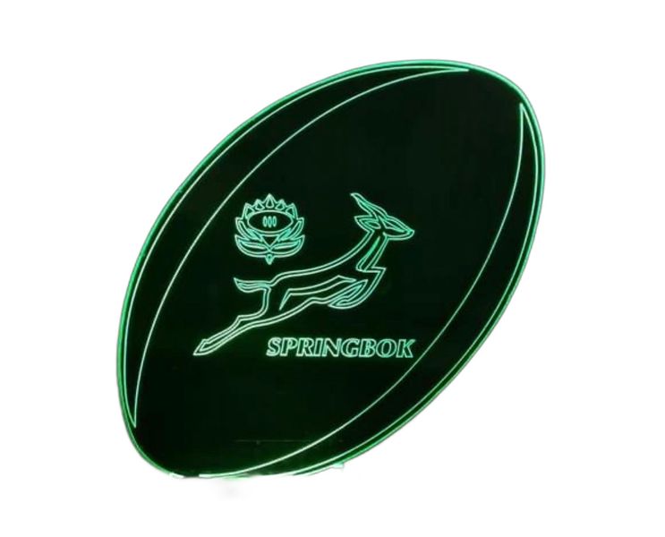 Rugby ball Supporter Protea LED Light Night lamp Acrylic USB + battery