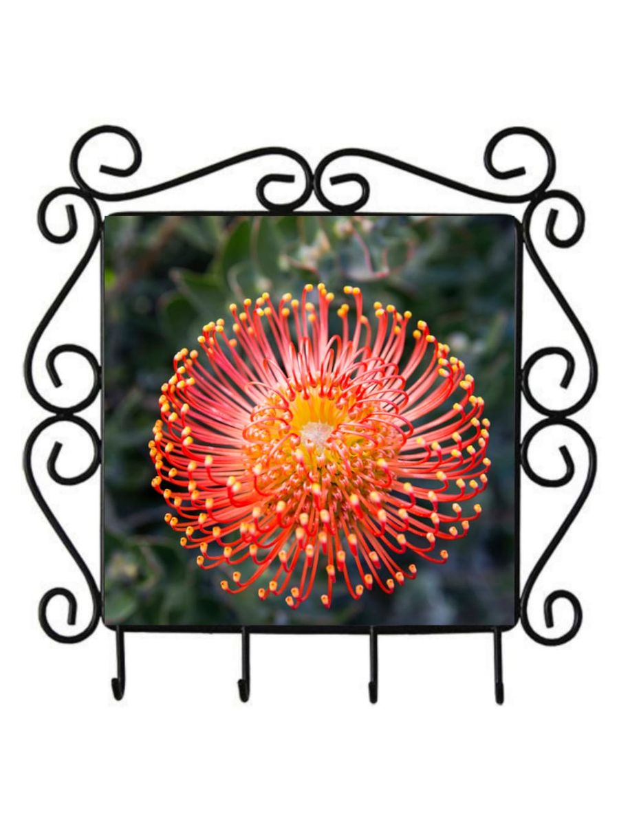 Steel Frame With Tile Wall Key Holder Orange Bloom Shop Today. Get
