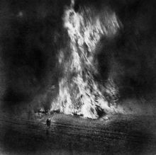 Fields of Fire (Vinyl / 12" Album)