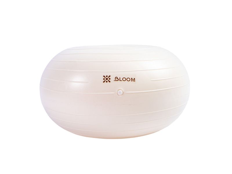 Bloom Balance Ball PVC - 45x25cm - Various Colours
