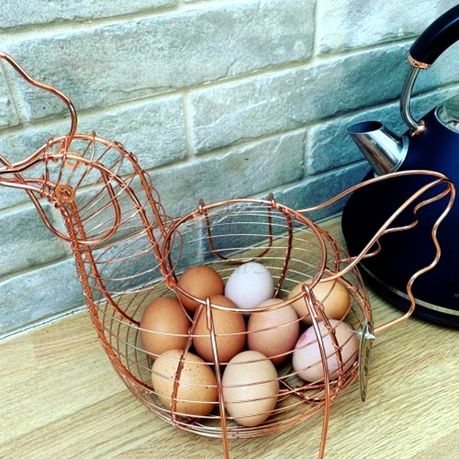 DH Rose Gold Egg Basket Chicken Design Shop Today. Get it