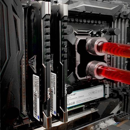 Patriot Viper Steel DDR4 64GB (2x32GB) 3600MHz Kit | Shop Today