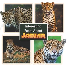 100 INTERESTING FACTS ABOUT JAGUARS intelligence overview