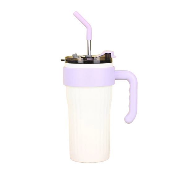 Kings Stainless Steel Double-Wall Water Bottle With Handle and Straw