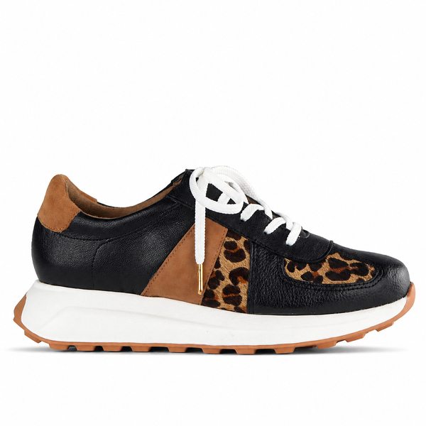 Froggie Women's Lace-up Sneaker in Black and Cheetah leather -12688