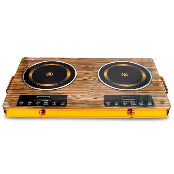 Portable Electric 2 Burner Induction Cookers Control Board Electric Stove