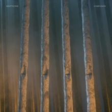 Companion (Vinyl / 12" Album)