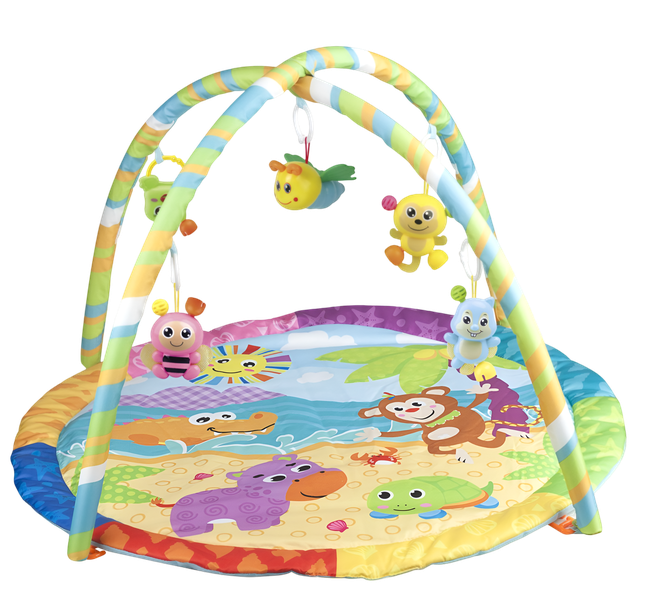 Colorful Baby Activity Gym with Round Play Mat