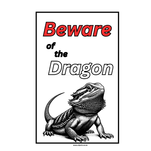 Beware of the Dragon Sign - 30cm x 20cm x 1mm Wide