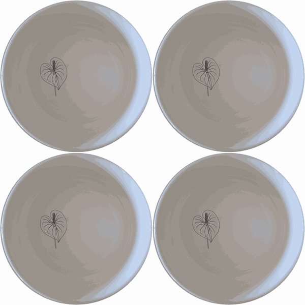 Anthurium Clarinervium Bowl Set of 4 - Range 2