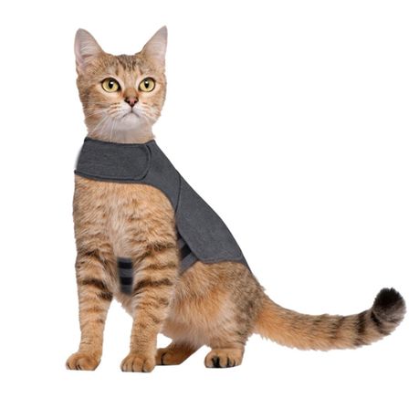 Cat thunder jacket best sale