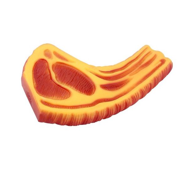 Dog Cat Interactive Toy Meat Beef Steak Simulation Pet Toy