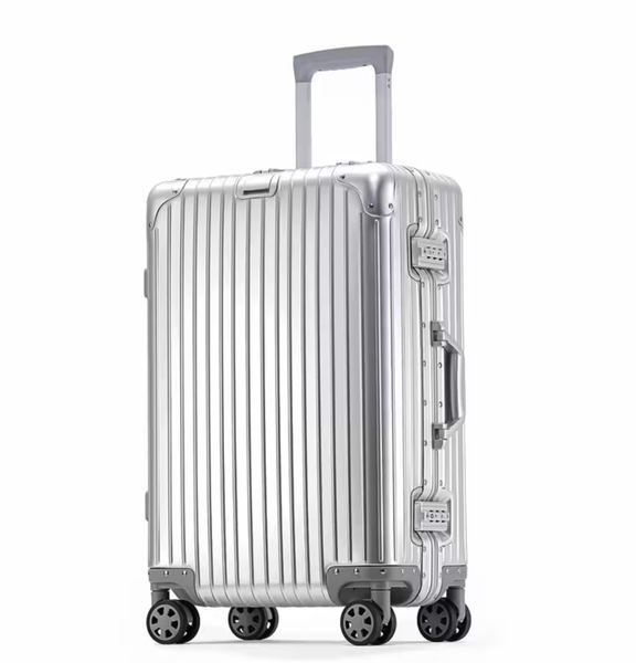 20-Inch Hard Shell Travel Suitcase with Spinner Wheels
